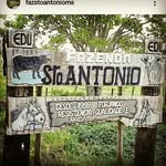 Logo de Fazenda Santo Antônio